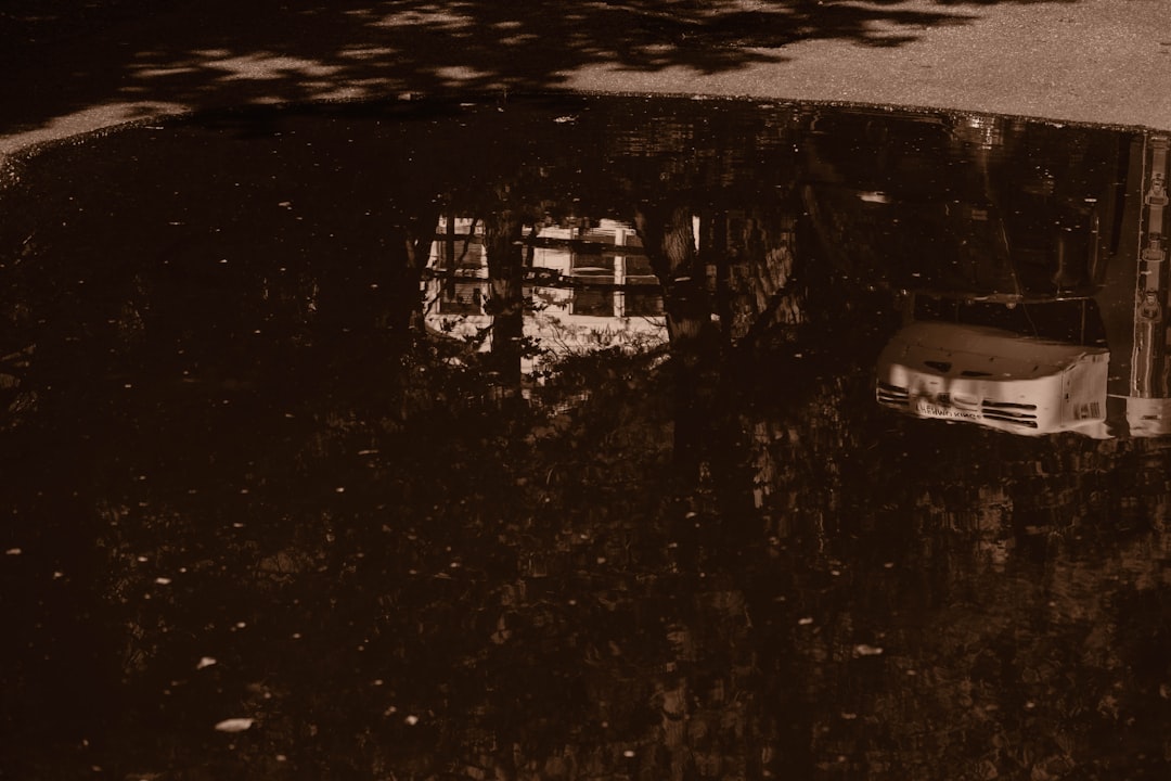dv188 rtp
